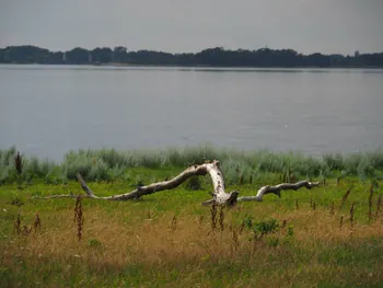 Halshuisene + Enebaerodde Beach (Denemarken)